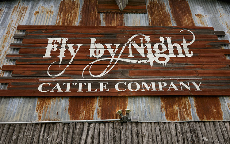 Fly by night cattle company sign